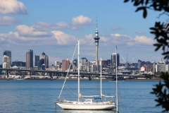 Sky Tower and Harbour Bridge
