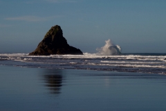 Lion Rock Piha