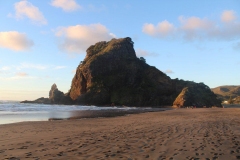 Lion Rock Piha